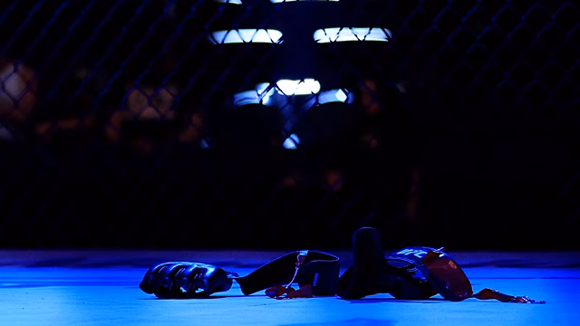 Россия заняла первое место в рейтинге сильнейших стран в MMA от ESPN